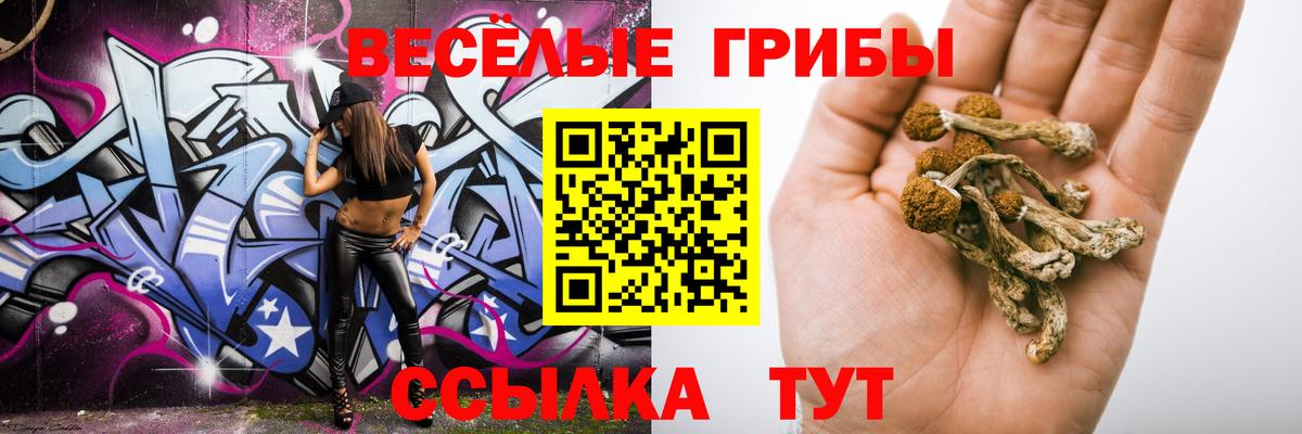Галлюциногенные грибы MAGIC MUSHROOMS Новотроицк