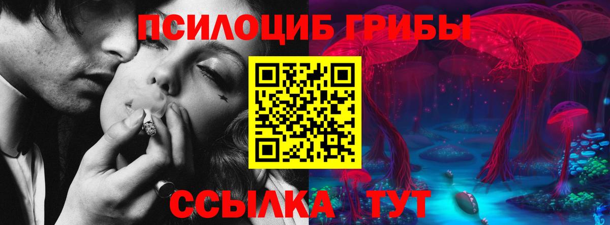 Каннабис  Меф   MDMA  Купить наркотики цена  APVP СК кристаллы  ГАШИШ  КОКАИН  Новотроицк  Вход с VPN 