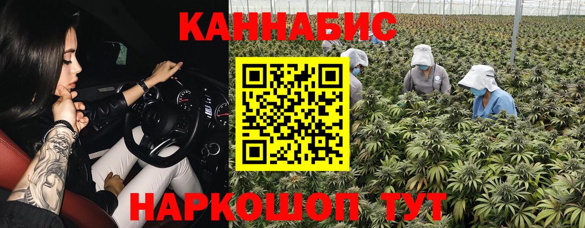 Бошки Шишки индика  Шишки марихуана AK-47  Новотроицк  Вход с VPN  МАРИХУАНА план 